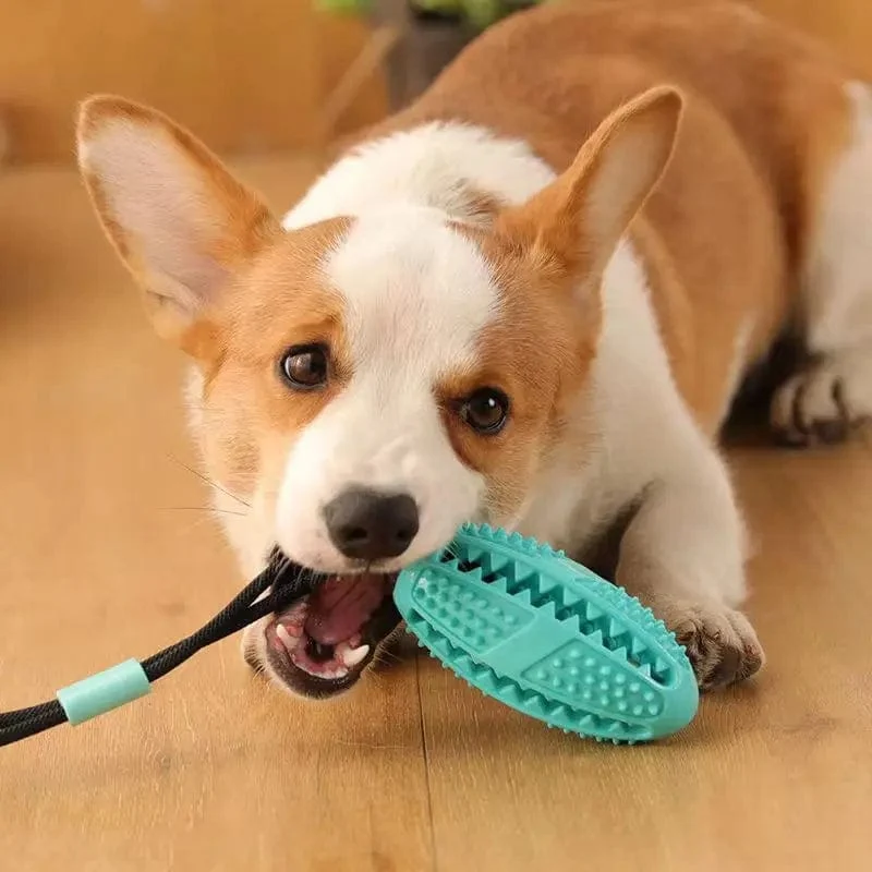 Jouet Succion Mâchoire Résistant Gros Chien