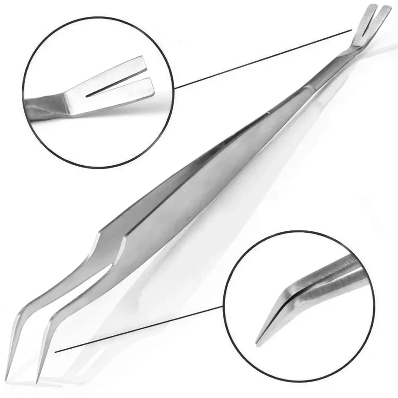 Kit Extracteur Tiques Inox Chien Chat