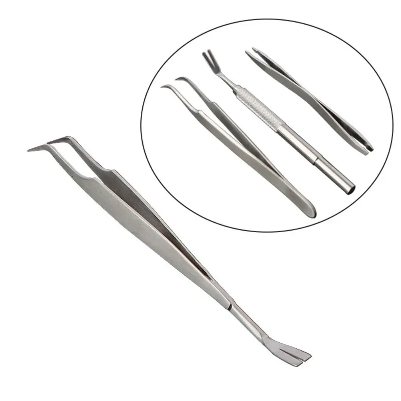 Kit Extracteur Tiques Inox Chien Chat