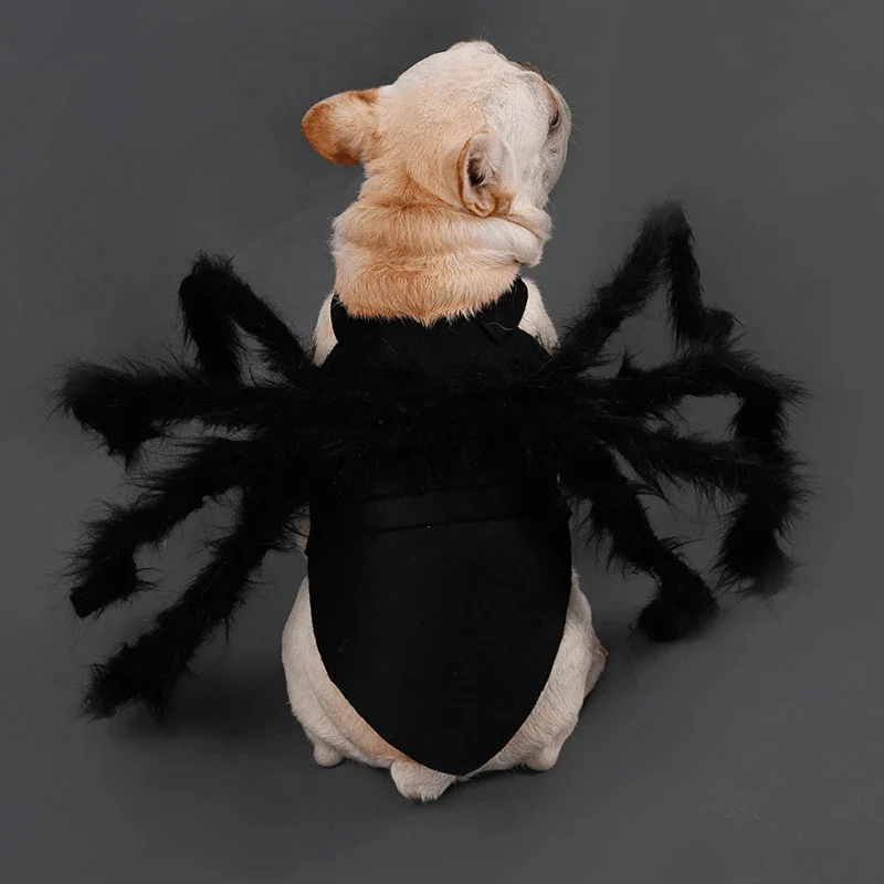 Déguisement Araignée Halloween Chien Molosse