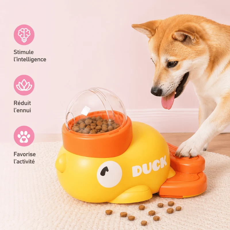 Jouet Puzzle Canard Distributeur Friandises