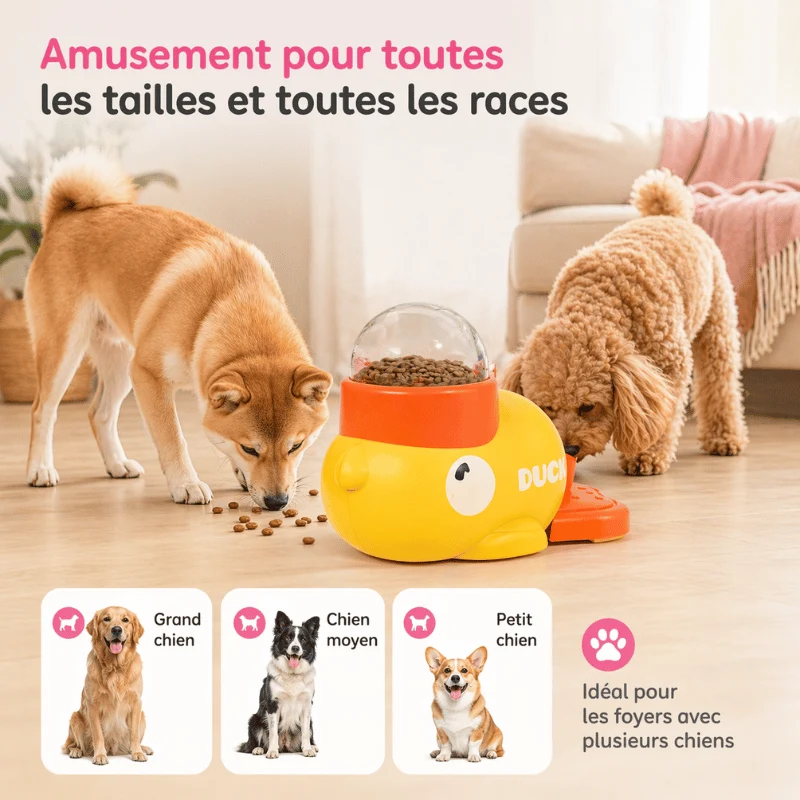 Jouet Puzzle Canard Distributeur Friandises
