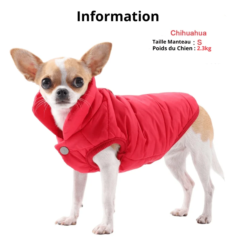 Manteau Imperméable Hiver Chien Chaud
