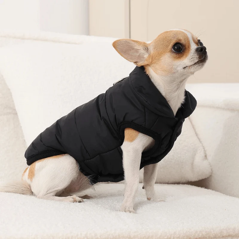 Manteau Imperméable Hiver Chien Chaud