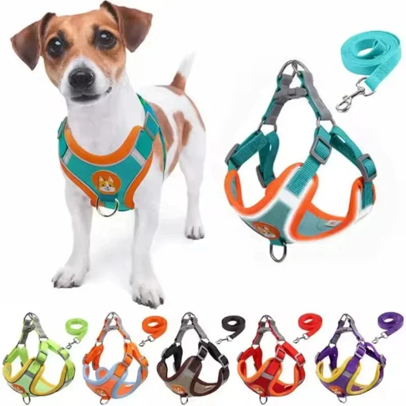 Harnais Réfléchissant Réglable Chien XL