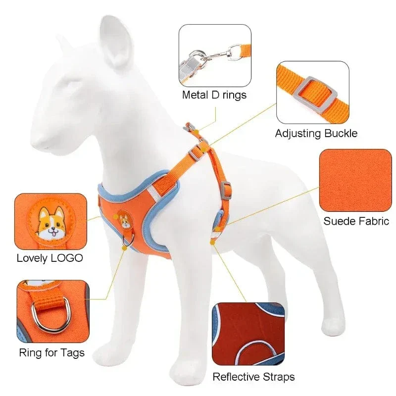 Harnais Réfléchissant Réglable Chien XL