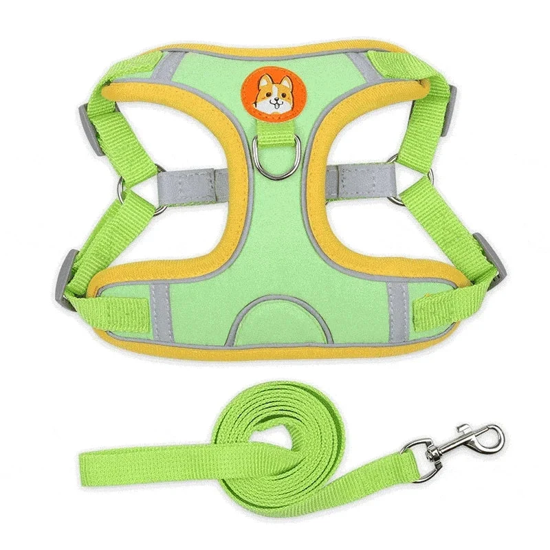 Harnais Réfléchissant Réglable Chien XL