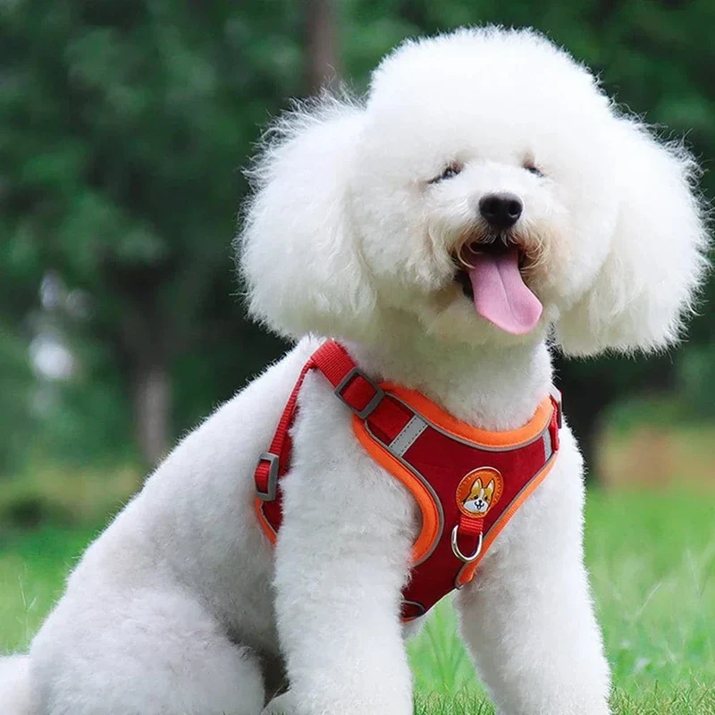 Harnais Réfléchissant Réglable Chien XL