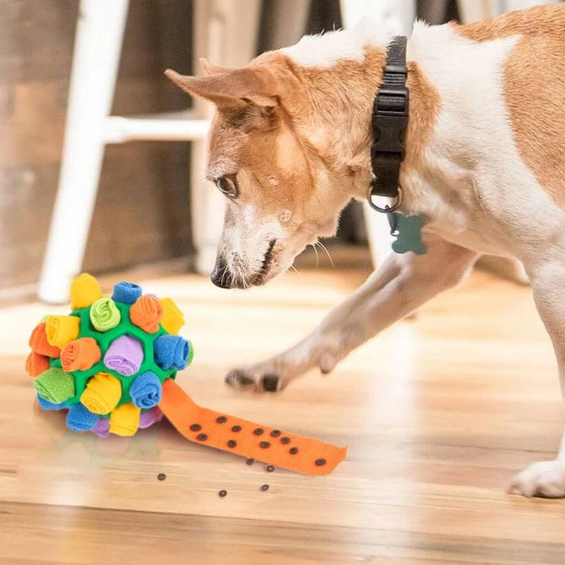 Balle Fouille Interactive Gros Chien Anti-Stress
