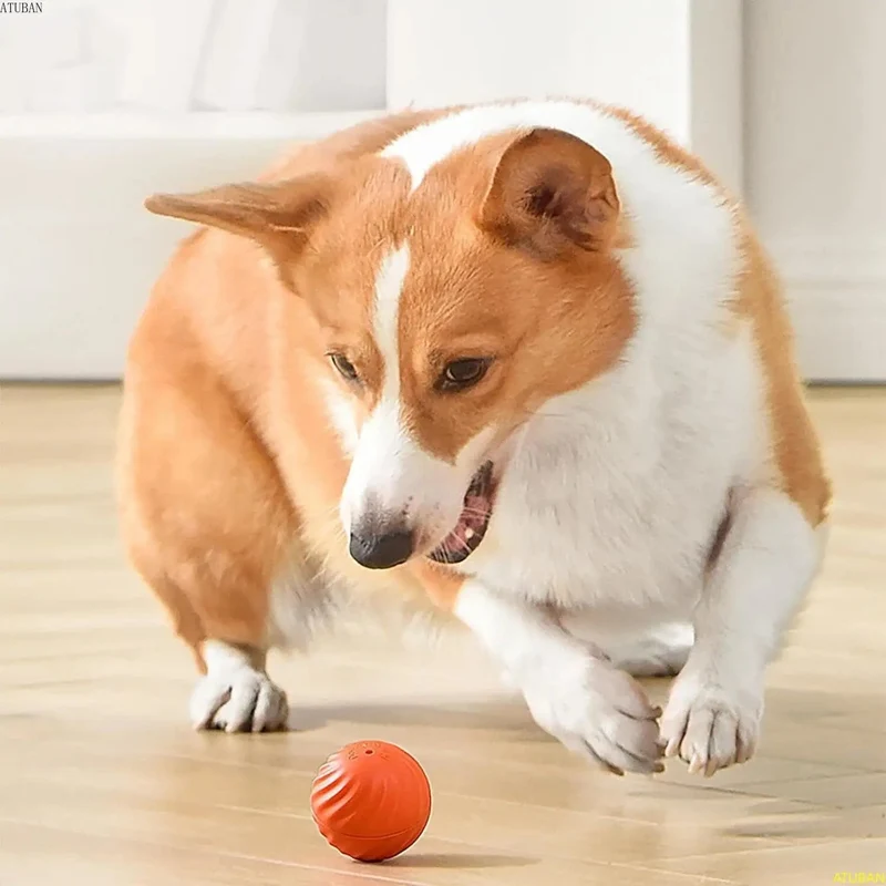 Balle Auto-Roulante Interactive Gros Chien