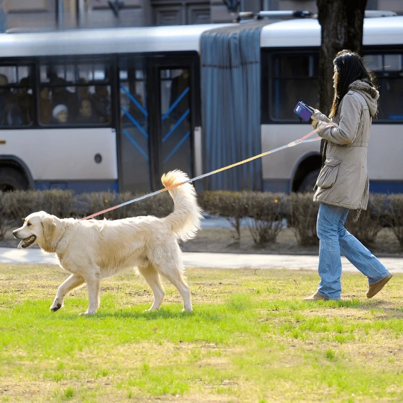 Laisse Tressée Coton Gros Chien 1.5m