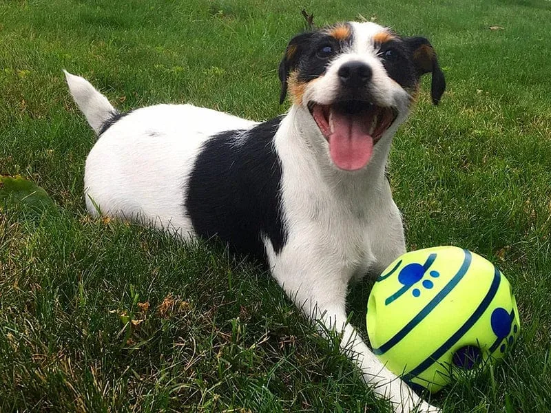 Ballon Interactif Auto-Roulant Jouet Chien