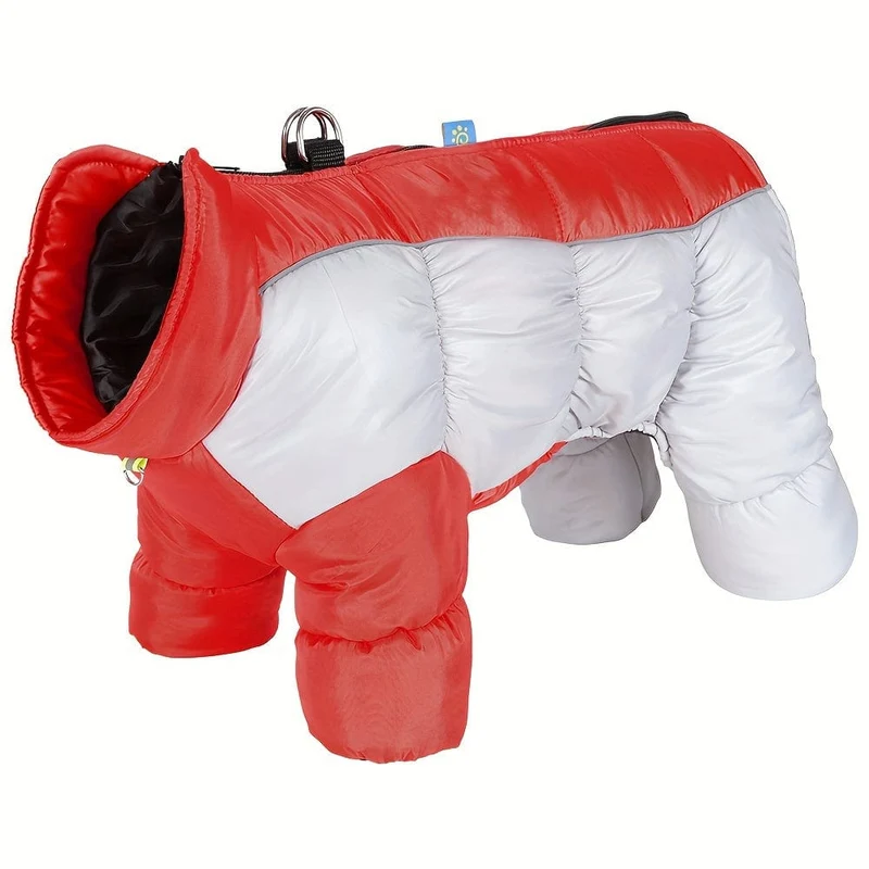 Manteau Imperméable Réfléchissant Chien Hiver