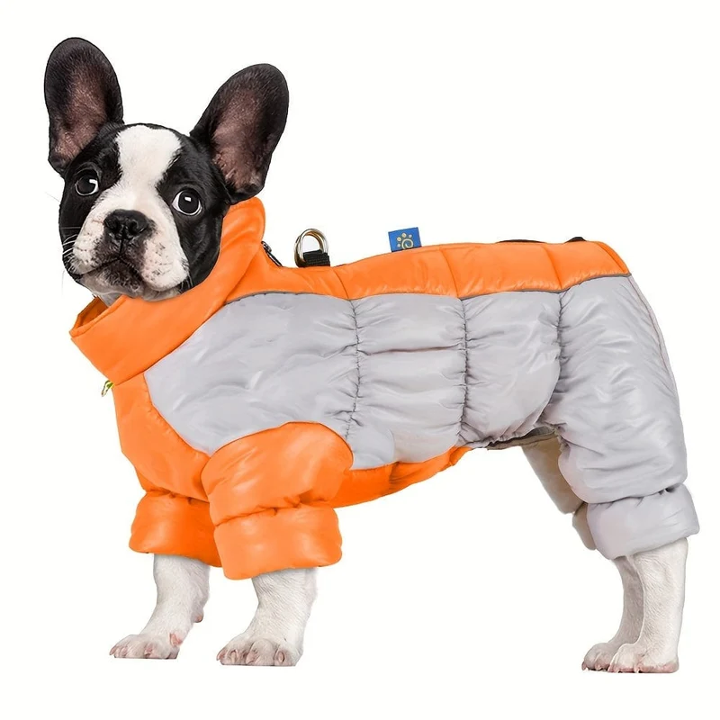 Manteau Imperméable Réfléchissant Chien Hiver