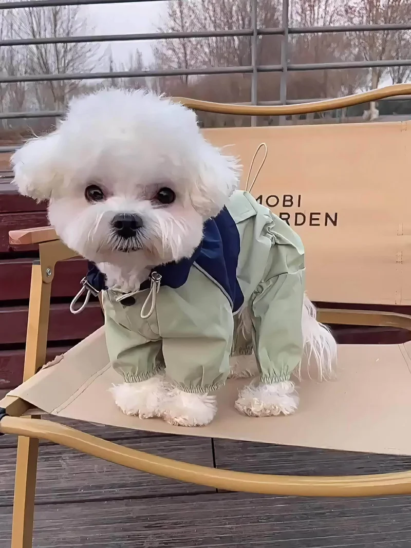 Combinaison Imperméable Coupe-Vent Chien