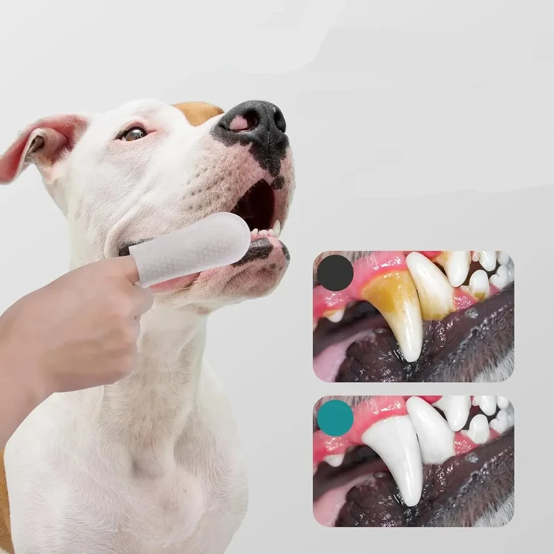 Lingettes Dentaires Doigt Chien Hygiène Bucale
