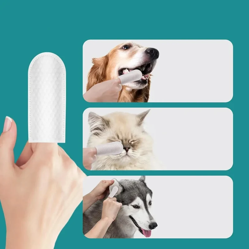 Lingettes Dentaires Doigt Chien Hygiène Bucale