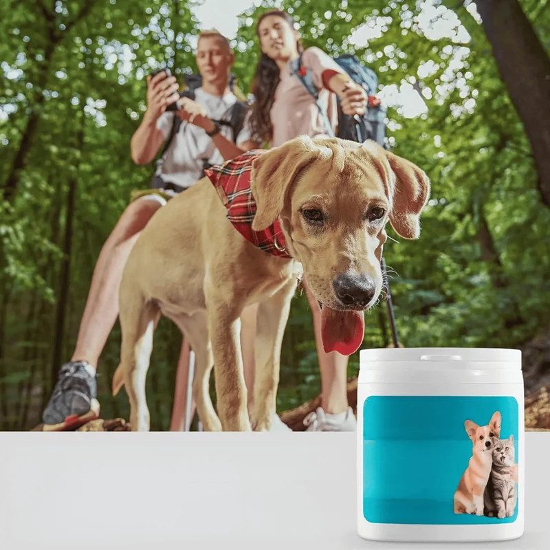 Lingettes Dentaires Doigt Chien Hygiène Bucale