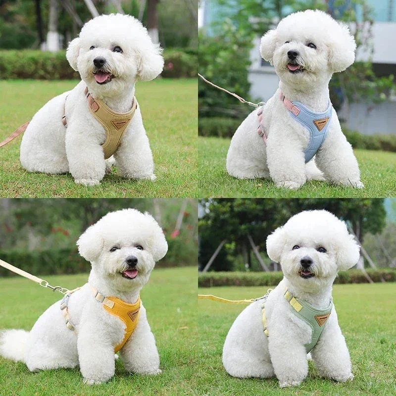 Harnais Laisse Anti-Traction Chien 4 Coloris