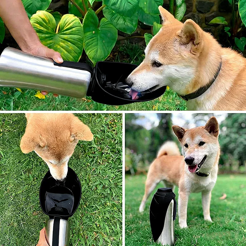 Gourde Voyage Inox Pliable Gros Chien