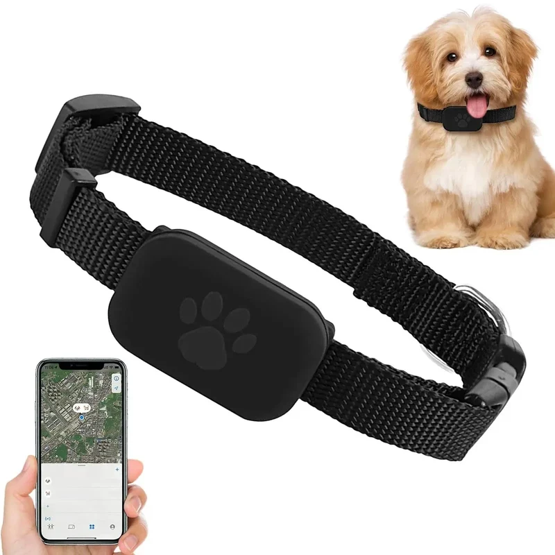 Collier GPS Connecté Chien Sans Abonnement