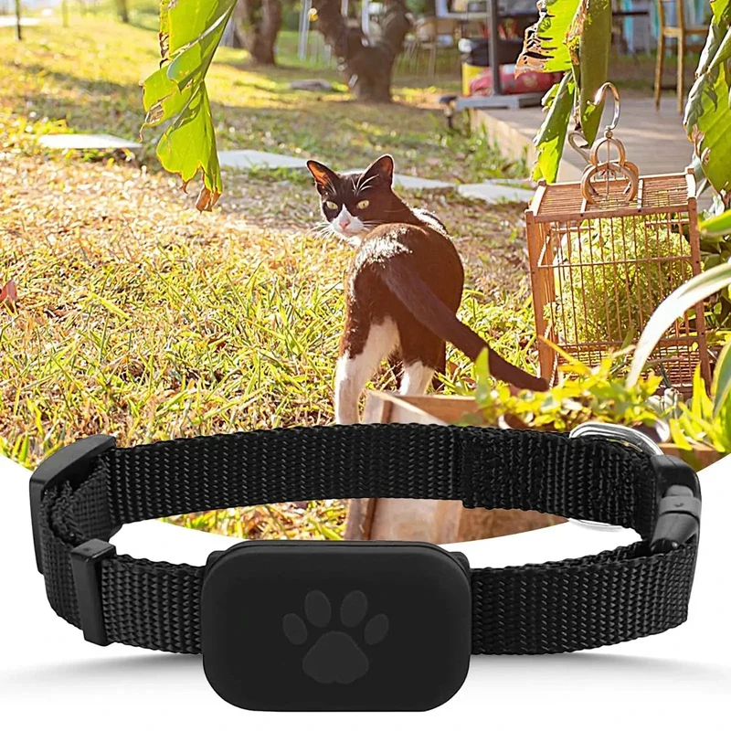 Collier GPS Connecté Chien Sans Abonnement
