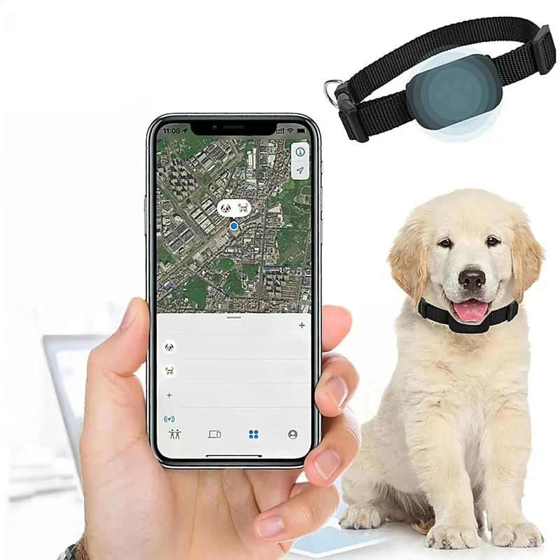 Collier GPS Connecté Chien Sans Abonnement