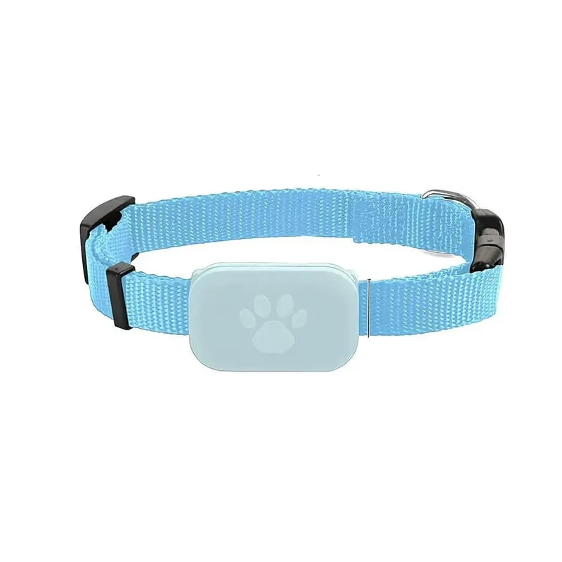 Collier GPS Connecté Chien Sans Abonnement