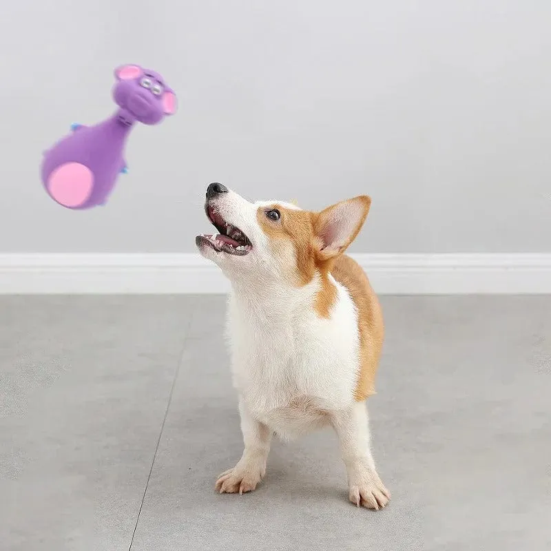 Jouet Mâcher Interactif Chien TPR 4 Modèles