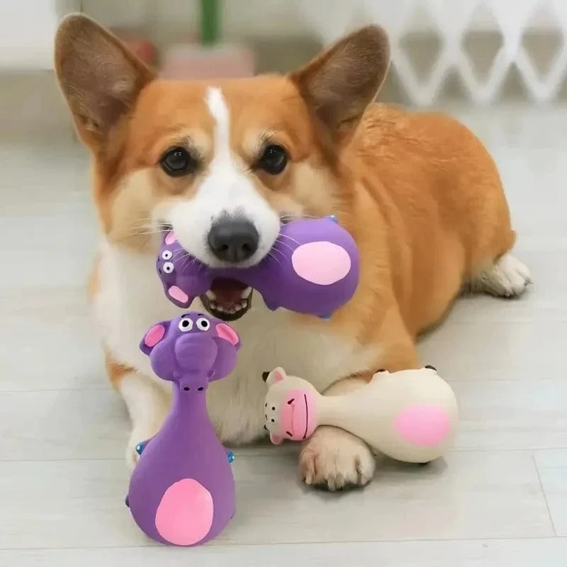 Jouet Mâcher Interactif Chien TPR 4 Modèles