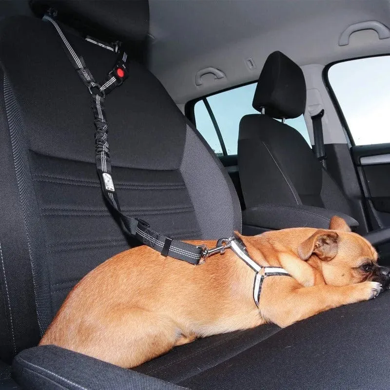 Ceinture Sécurité Voiture Chien Nylon