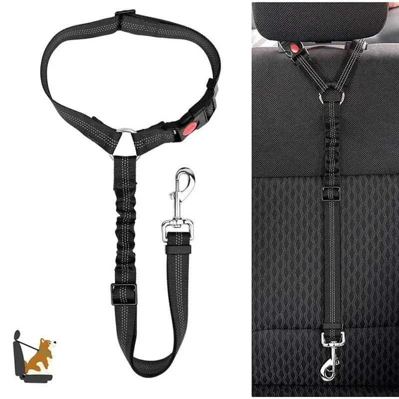 Ceinture Sécurité Voiture Chien Nylon