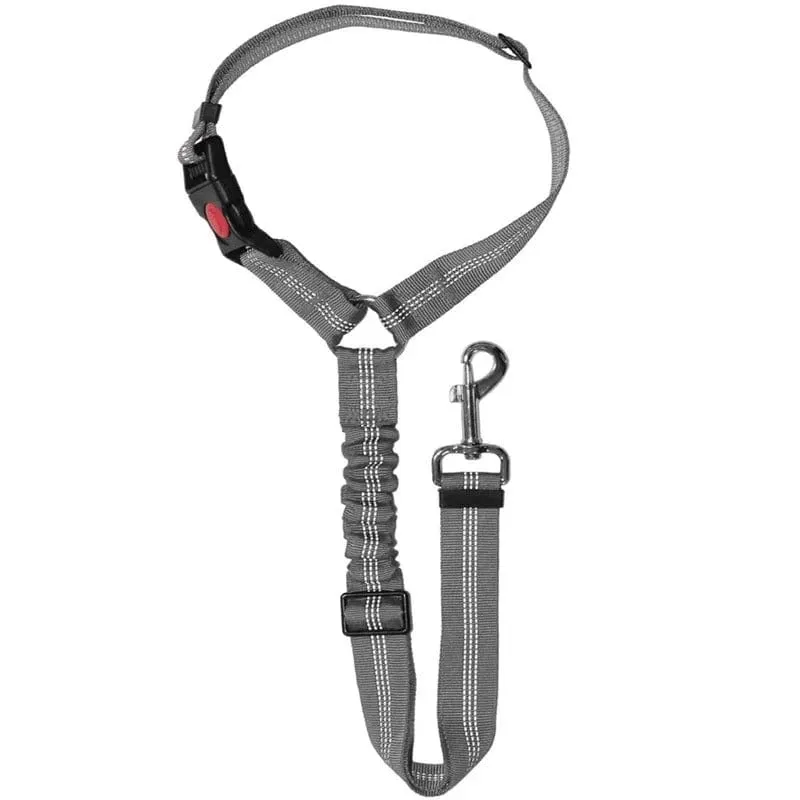 Ceinture Sécurité Voiture Chien Nylon