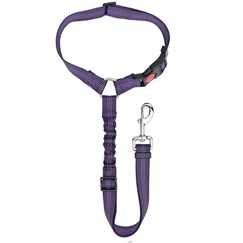 Ceinture Sécurité Voiture Chien Nylon