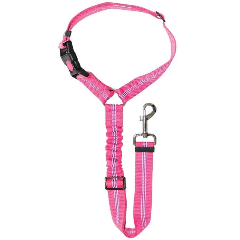 Ceinture Sécurité Voiture Chien Nylon