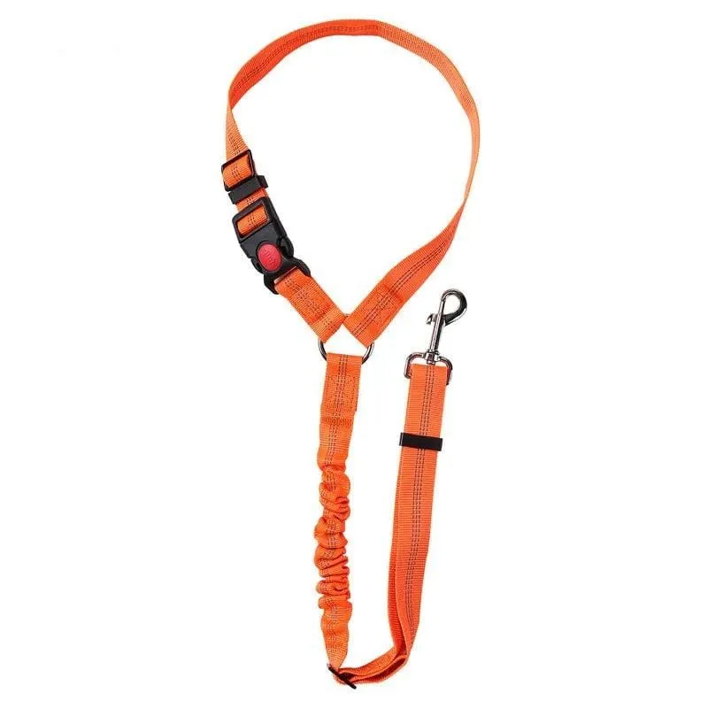 Ceinture Sécurité Voiture Chien Nylon
