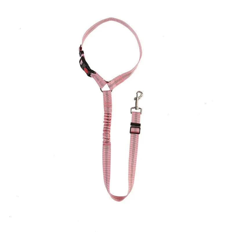 Ceinture Sécurité Voiture Chien Nylon