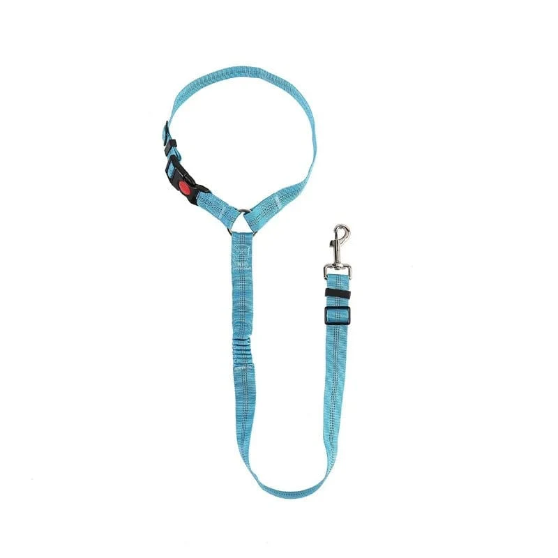 Ceinture Sécurité Voiture Chien Nylon