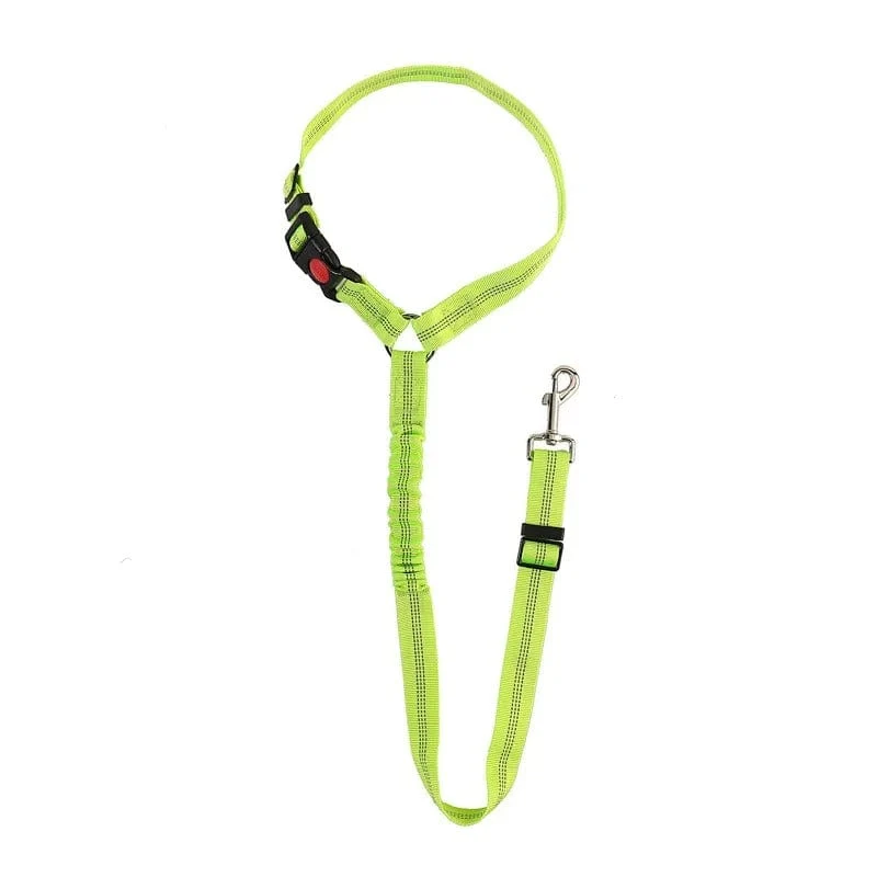 Ceinture Sécurité Voiture Chien Nylon