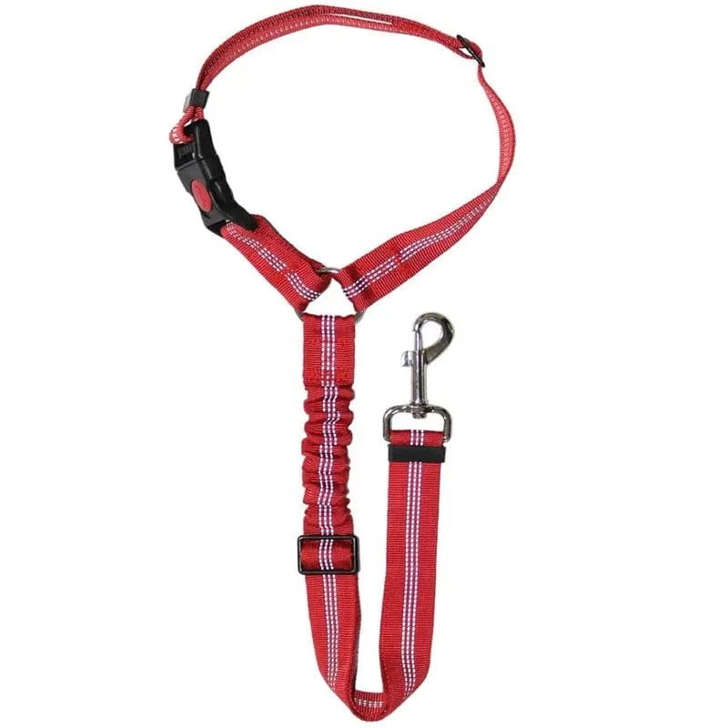 Ceinture Sécurité Voiture Chien Nylon