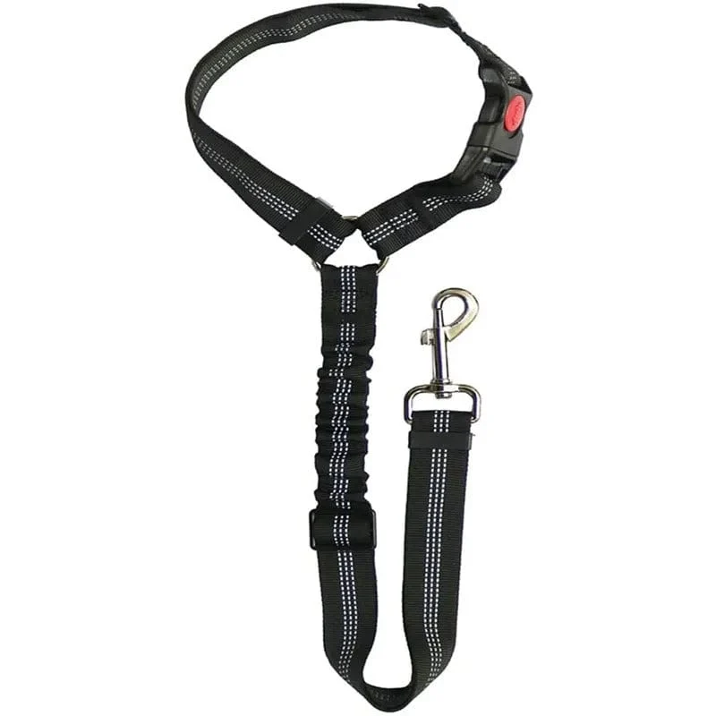 Ceinture Sécurité Voiture Chien Nylon