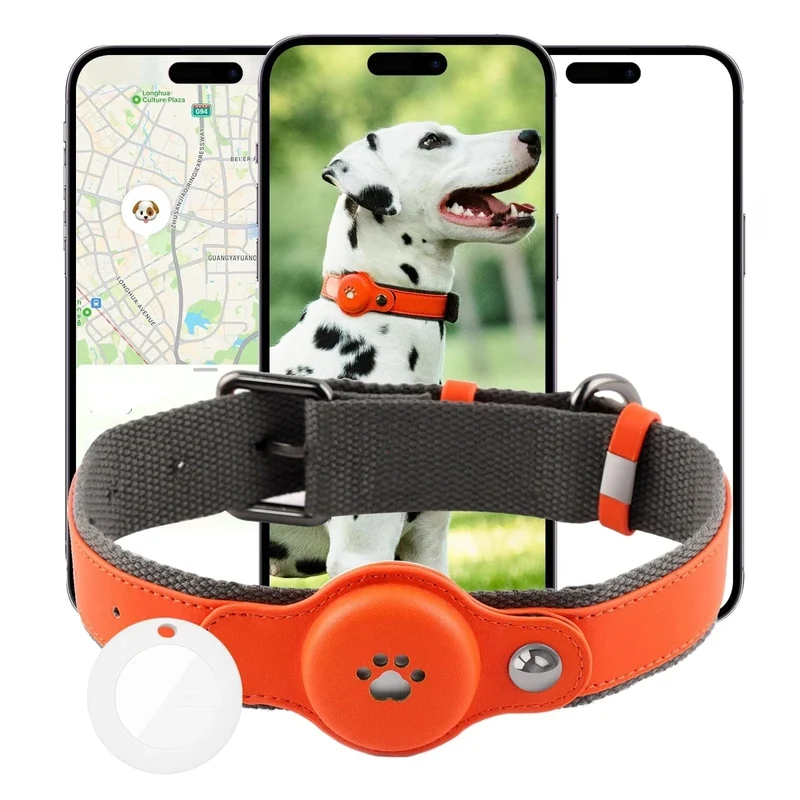Collier GPS Rechargeable Chien Apple Find My