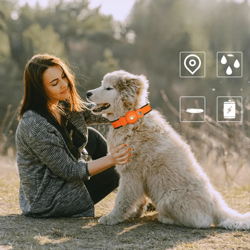Collier GPS Rechargeable Chien Apple Find My