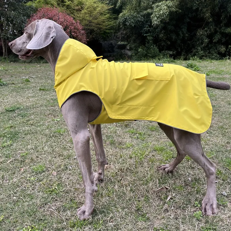 Manteau Imperméable Réfléchissant Gros Chien