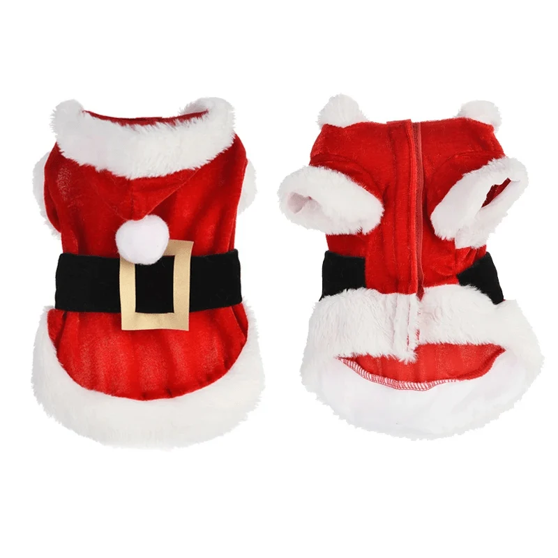 Déguisement Noël Festif Grand Chien Confort