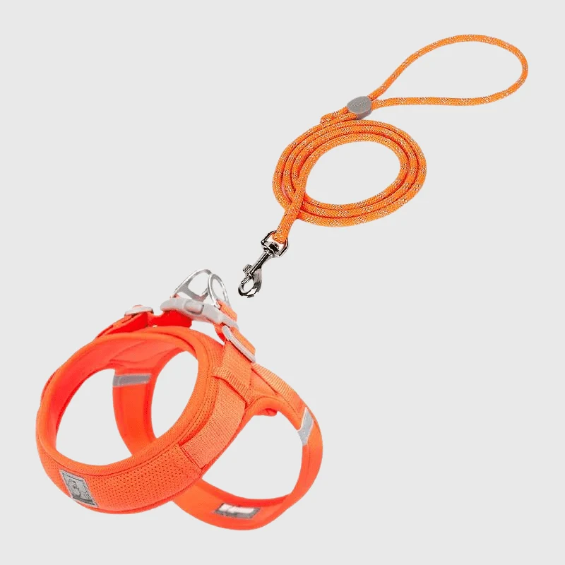 Harnais Nylon En T Anti-Traction 8 Couleurs