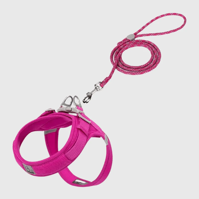 Harnais Nylon En T Anti-Traction 8 Couleurs