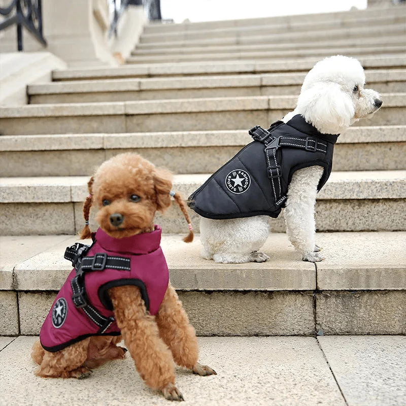 Manteau Hiver Harnais Intégré Gros Chien