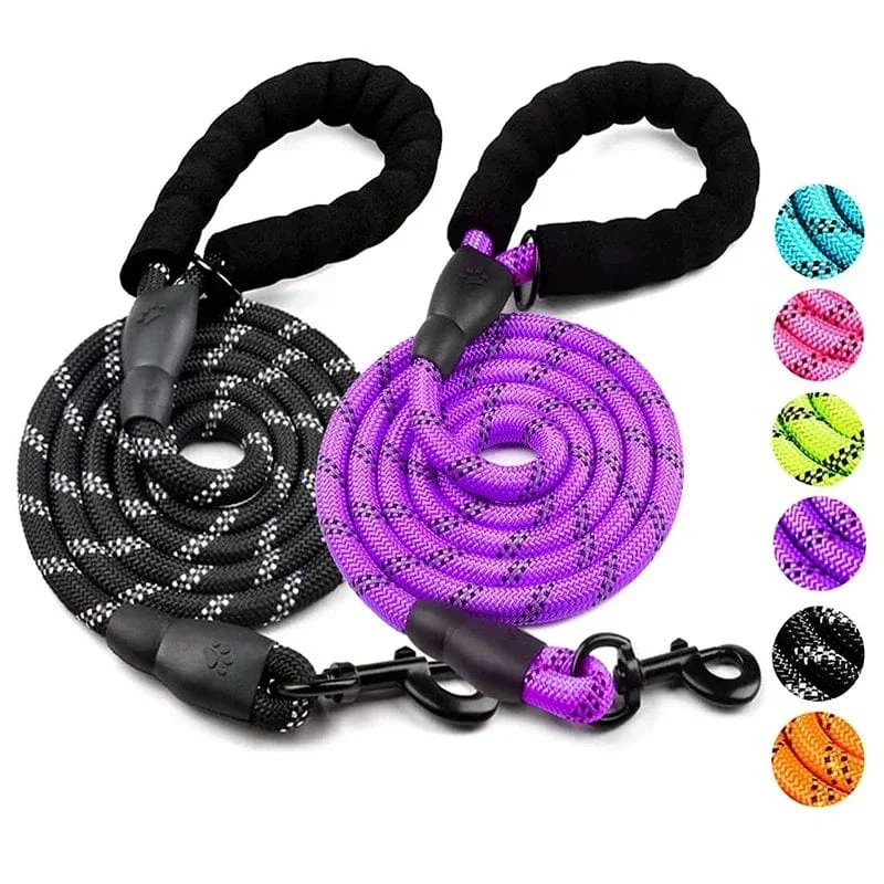 Laisse Réfléchissante Nylon Gros Chien Multisize