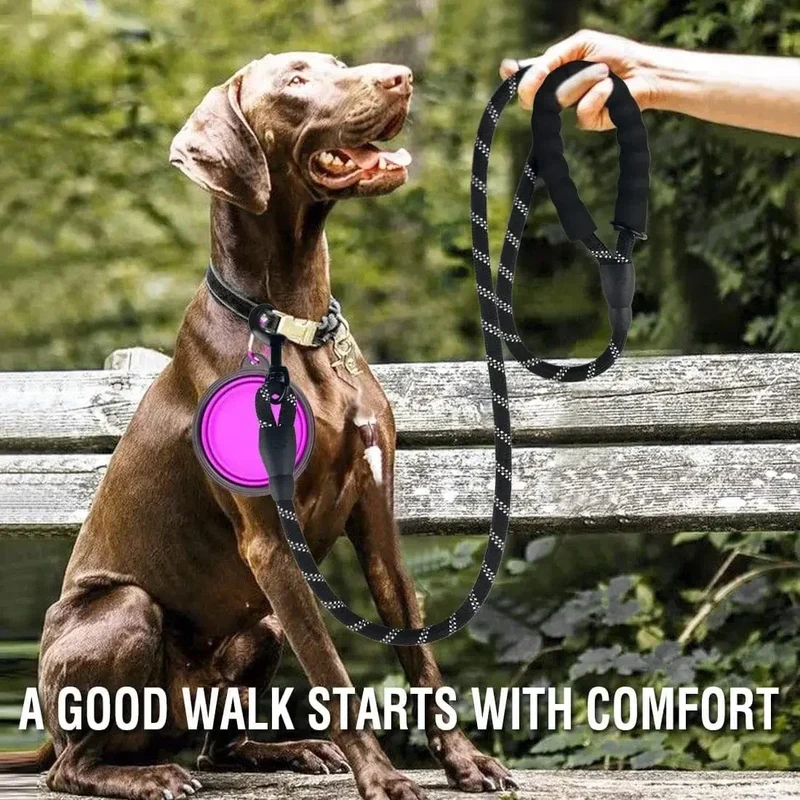 Laisse Réfléchissante Nylon Gros Chien Multisize